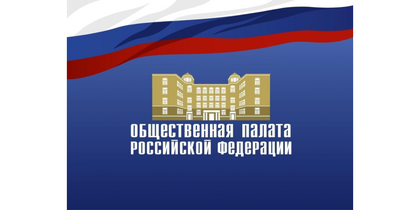 Качество и безопасность дезинфекционных средств обсудили в Общественной палате РФ