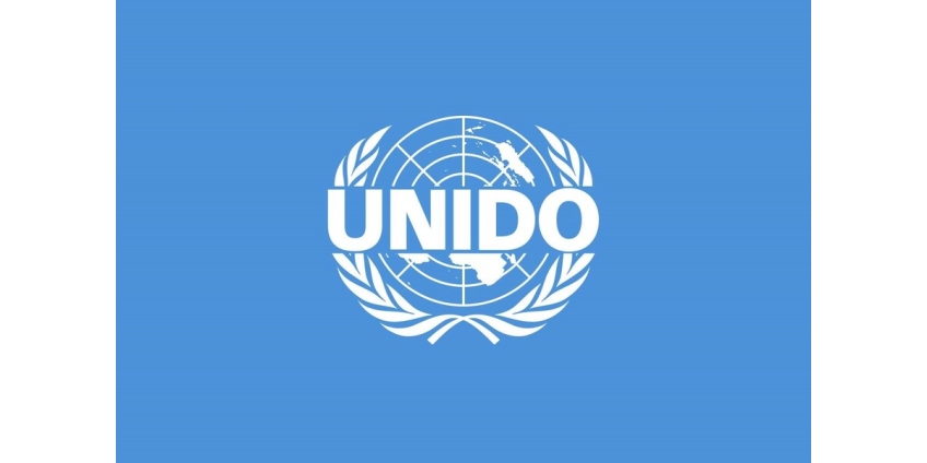 Важность доступа к стандартам стран-партнёров отметили на сессии ЮНИДО