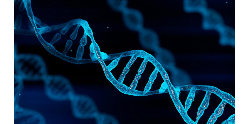 Стандартный образец ДНК человека создан учеными Росстандарта